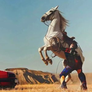 国产xvideos在线观看
